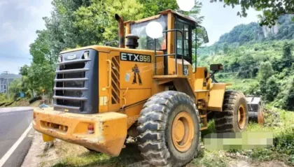 Intake and exhaust valves FL956F