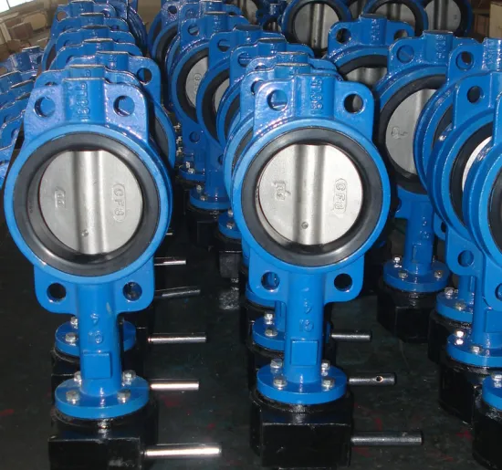 Cast Iron High Performance Wafer Butterfly Valve, Api 609 / Iso 5752 / Bs 5155