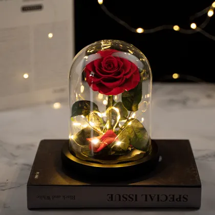 Factory Direct: 2024 Hot Selling Eternal Rose Preserved Flower in Glass Dome