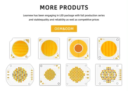 Learnew Bi-Color 1919 Chip LED - White + Warm White