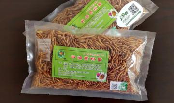 pet feed of mealworms