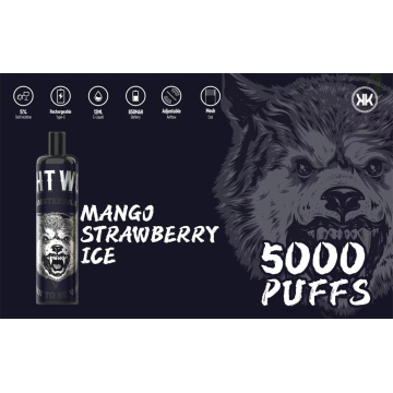 Electronic Energy Disposable Vape 5000Puffs