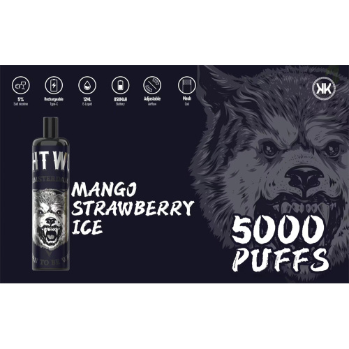 Electronic Energy Disposable Vape 5000Puffs