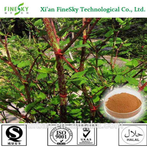 Natural Watersoluble Resveratrol 98 Powder, High Quality Natural