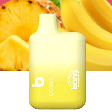 Hot Selling Bang 5000Puffs High Quality Price