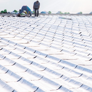 Hot Sale Aluminum Film Self-adhesive Polymer Modified Asphalt Waterproofing Membrane