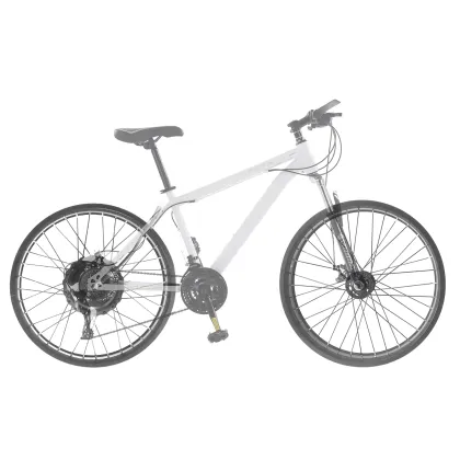 Electric Bike Snow Conversion Kit