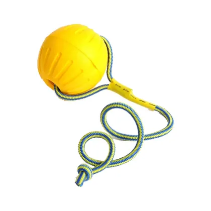 Factory Price Outdoor Durable Eco-Friendly Pet Toys