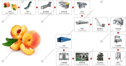 Turnkey Production Line for Peach, Apricot, and Plum Juice, Puree, Jam, and Concentrate