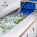 Máquina de limpeza de vegetais comercial e industrial