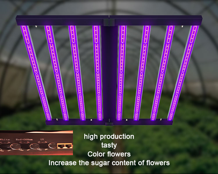 Grow Light Master Controller
