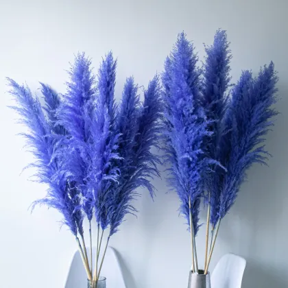 Turquoise Blue Dried Pampas Grass Bouquet - Arco Flores