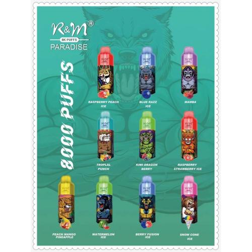 Hot Sale USA Vape R &amp; M Paradise 8000 Puffs