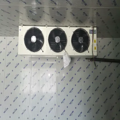 Moon Copeland Compressor for Cold Room Fan Motor and Evaporator
