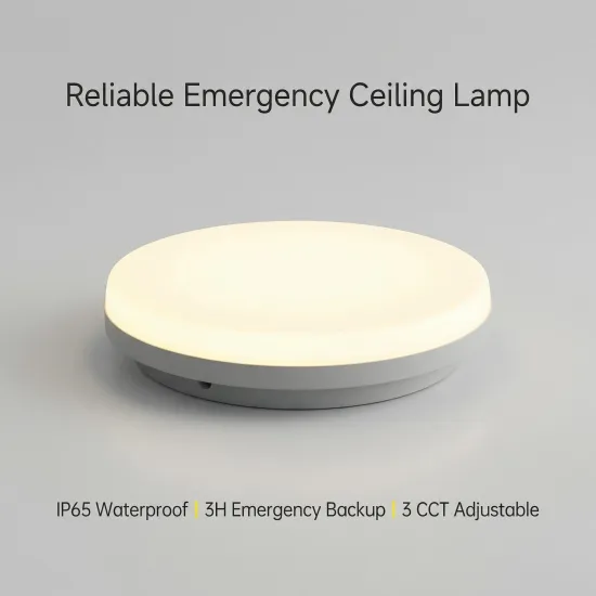 IP65 Waterproof Emergency Lights 3000k 4000k 6500k