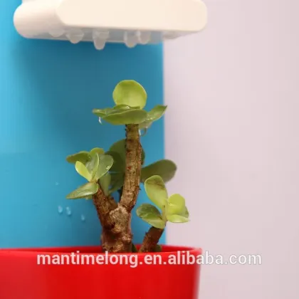 rainy pot wall-hunging cloud flowerpot