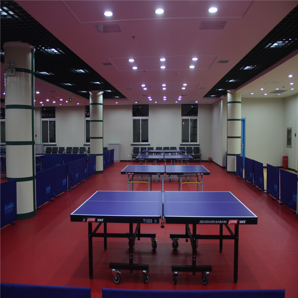 Table Tennis11