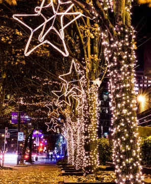Christmas Light Belt led light