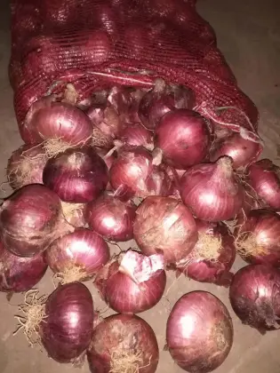 Fresh Onion Good Taste