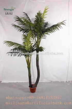 SJ12000357 Landscaping decorative outdoor areca palm