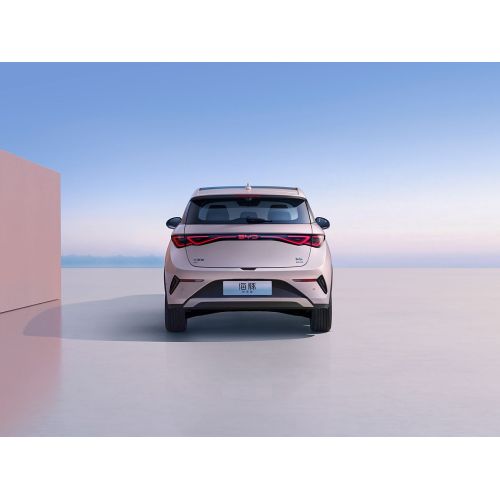 2025 Byd Dolphin 520 км Knight Edition