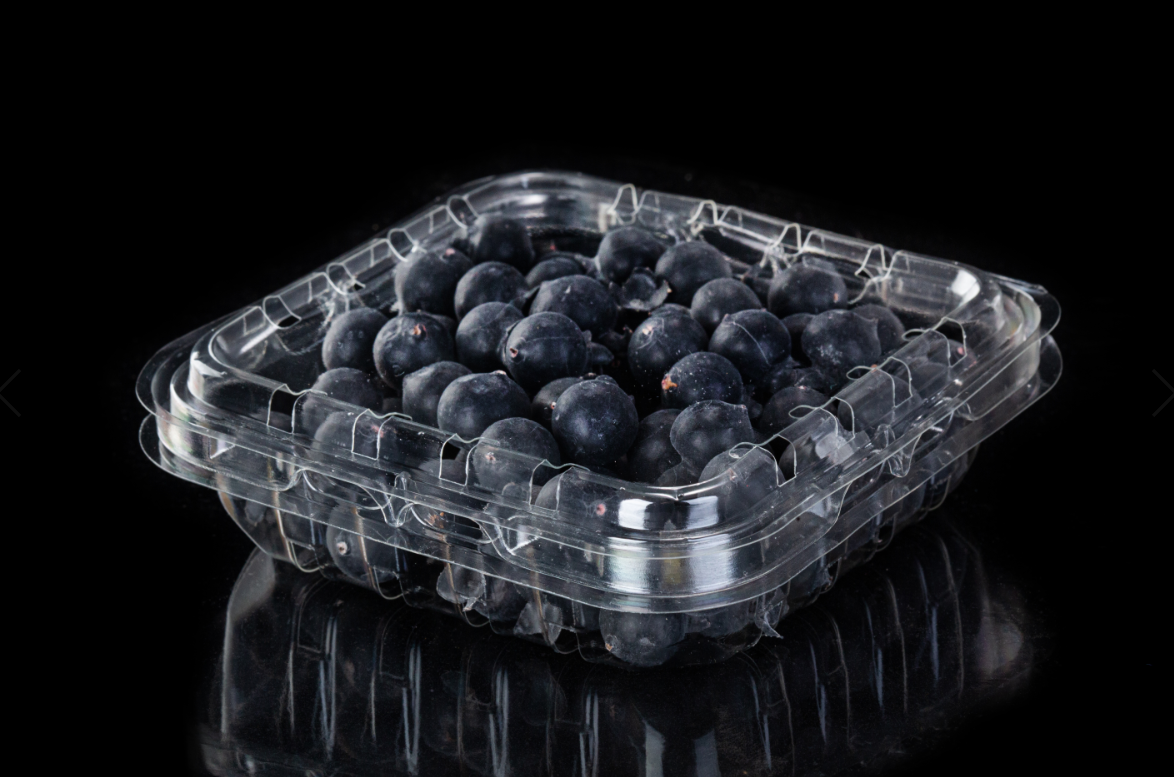 Blueberries punnet120125-36B1