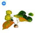 /msite/products/detail/productid/68358419/id/1717112.html