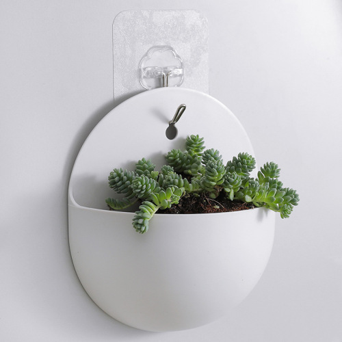 Water culture wall hanging flower pot