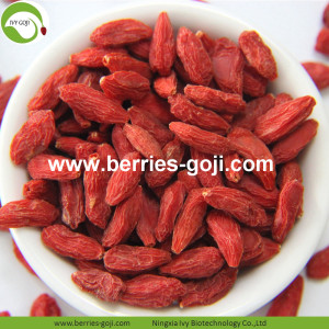 Perda de peso Nutrição de frutas Bagas de Goji tibetanas naturais