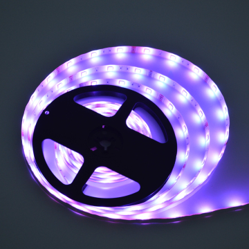 80 Remote Control 5M Waterproof IP65 12V RGB LED Light Strip Kit