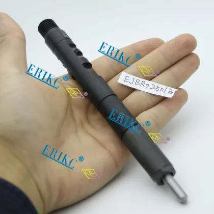 Ejbr02501z Delphi Common Rail Inyector Diesel Injector Ejbr0 2501z and Ejb R02501z Fuel Pump Dispenser Inyector and Delphi Fuel Injector