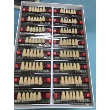 Full Set Synthetic Polymer Acrylic teeth denture