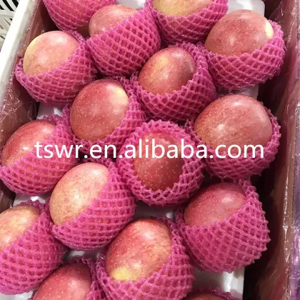 high quality sweet fruit red fuji apple