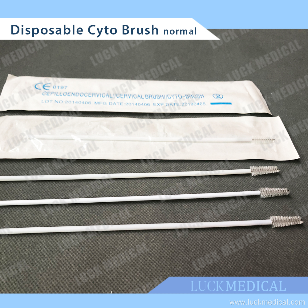 Medical Cervix Brush Hologic Cyto Brush
