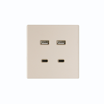 2-Gang USB + Type C Electrical Wall Switch and Socket Cover