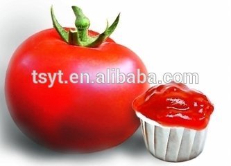 Delicious And High Quality Canned Tomato Paste Hot Sale from China