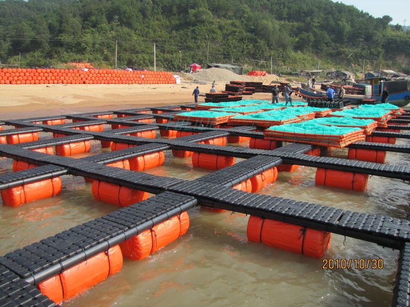 HDPE Sea Bass Culture Cage