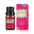 عمده فروشی روغن اسانس عطر Geranium 100 ٪ اسانس طبیعی Geranium طبیعی برای دیفیوزر صابون شمع