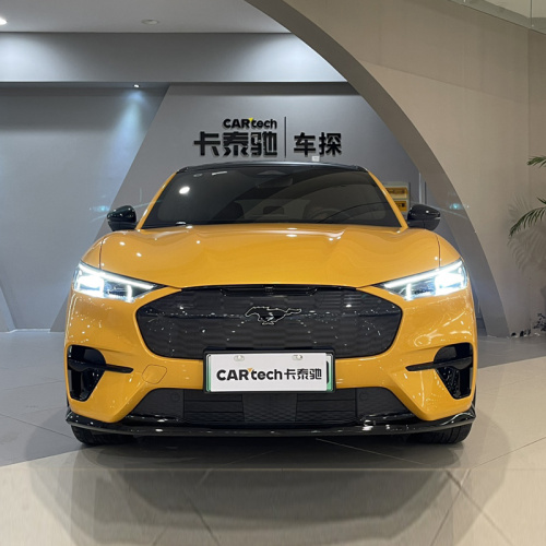 2024 Ford Electric Horse GT для экспорта