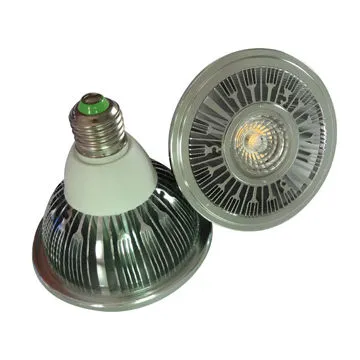 Christmas decoration LED spotlight