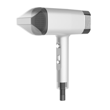 Professional Salon Quality DC Motor Blow Dryer with Custom Metallic Switch Buttons