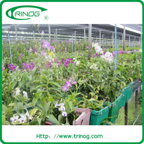 greenhouse shading system shade nouse