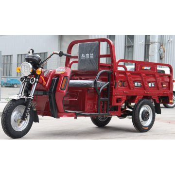 High quality Electric Tricycle all over the world