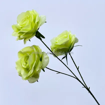 Plastic Green Leaf Money Props - Wedding & Party Event Supplies