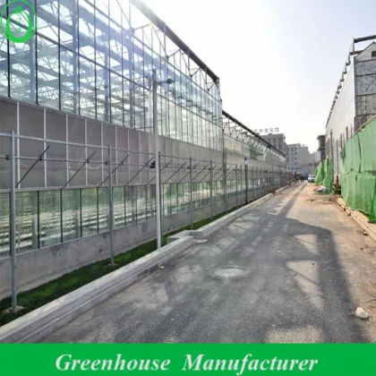 Factory Price Vegetable and Flower Greenhouse