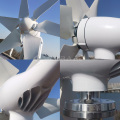 Alta eficiência da turbina eólica 12V 24V 48V Turbina eólica 1kW