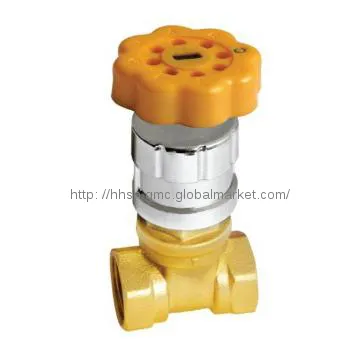 Magnetic Locking Gate Valve