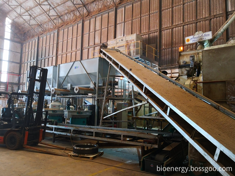 Installation of biomass granulator