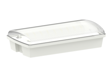 Brave Economic Wall Montated Bulkhead Light