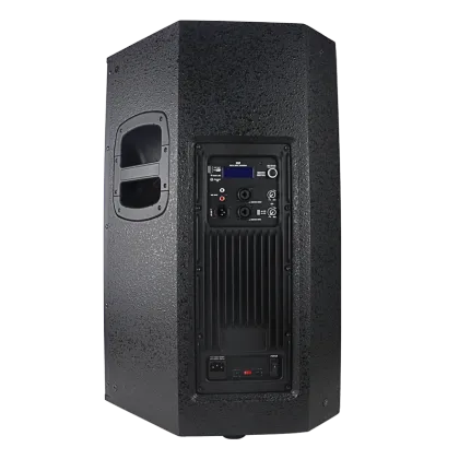 Fashion Stage High Power Subwoofer Speaker